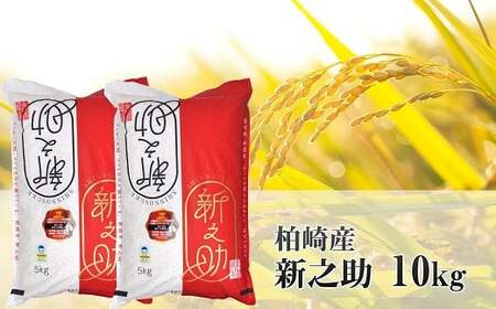 【令和7年産米】新之助 無洗米 10kg（5kg×2袋）新潟県認証特別栽培米 お米 新潟県産 アグリーホンマ[Y0538]