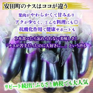 先行受付 ナス 定期便 計約50本 | ナス TR-2000