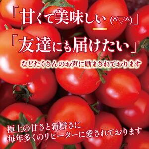 先行受付 安田町産 新鮮トマト 2kg 定期便 2回 TR-23