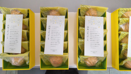 ケーキ工房菜の花　純朴レモンケーキ(5個入り)