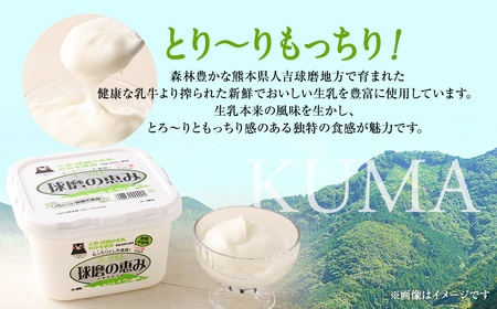 ヨーグル党総選挙　ム党の部　第2位受賞！球磨の恵みヨーグルトセット(砂糖不使用1kg×4個)【14営業日以内発送予定】