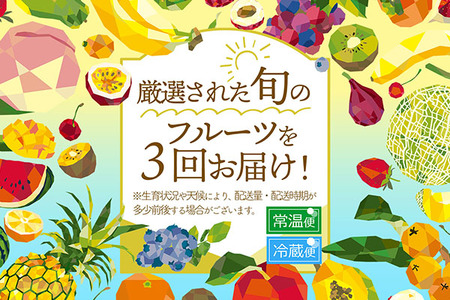 【R8.8月中旬より発送開始】食の都庄内 厳選フルーツ便C（入金期限：2026.7.31）アールスメロン 和梨 シャインマスカット 全3回配送 常温便 冷蔵便