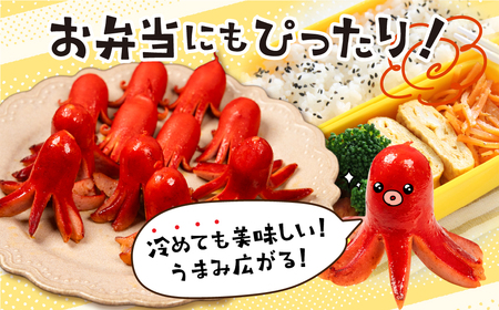 赤ウインナー 2kg 500g×4 国産 ソーセージ