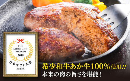 全12回定期便 くまモン ハンバーグ セット（あか牛100％使用） ハンバーグ BHAS059