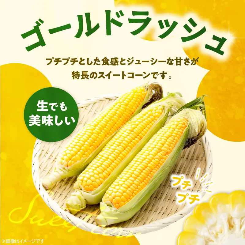 先行予約≪期間限定≫みやざきフレッシュスイートコーン(約9kg) とうもろこし 野菜 旬 おやつ 国産_T015-0055