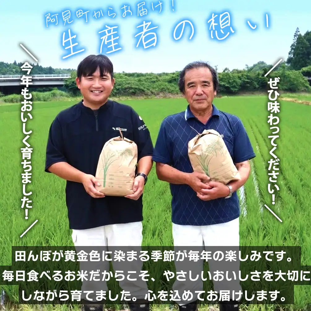 米 コシヒカリ 精米 5kg 令和7年産 茨城県産 お米 こめ コメ ごはん 白米 こしひかり 茨城県産米 単一米 単一原料米 安心 安全 送料無料 国産 人気 数量限定 高評価（85-11）