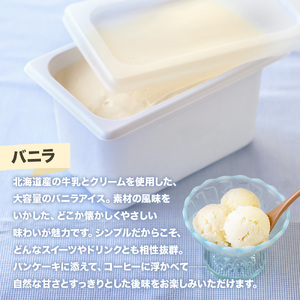 バニラ アイスクリーム 大容量 アイス 4000ml 4L 業務用 