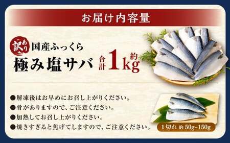 【訳あり】国産 ふっくら 極み塩サバ 計約1kg ／ 1切れ 塩サバ 塩さば 塩鯖 さば サバ 鯖 魚