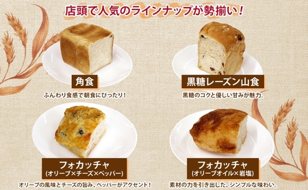 自家製酵母パン 人気の定番セット Lサイズ 1ヵ月おきに2回お届け 小分けパック