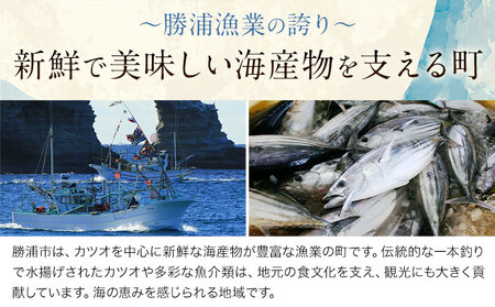 勝浦市産 釣り金目鯛握り寿司 16貫（4貫×4パック）《30日以内に出荷予定(土日祝除く)》千葉県 勝浦市 海産物 鯛 タイ 寿司 すし 魚 海鮮