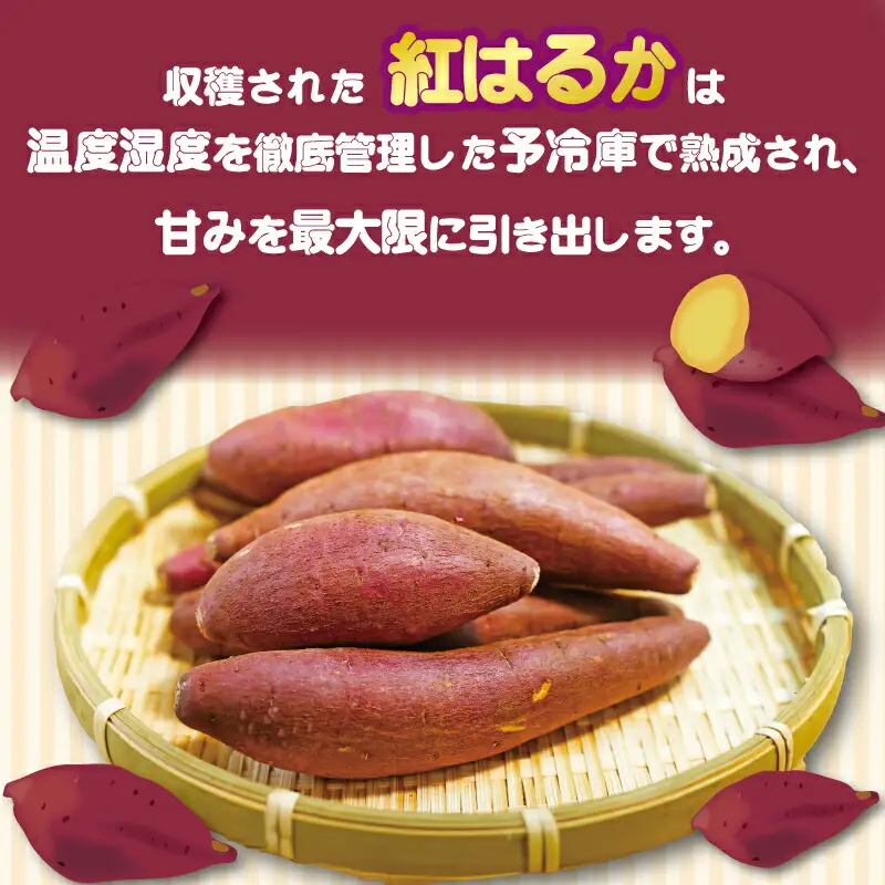 いもスティック 100g×3パック いも 芋 おやつ お菓子 食物繊維 サツマイモ 紅はるか 天ぷら 冷凍 高知県 南国市