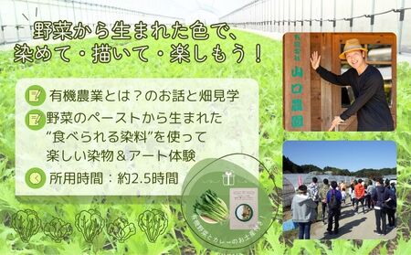 有機農業 染物 アート 体験 お土産付 5名様迄／ 畑見学 食べられる染料 Nara Green 抹菜 農家 有機野菜 オーガニック 無農薬 SDGs 関西 チケット カレー 山口農園 奈良県 宇陀市 ふるさと納税