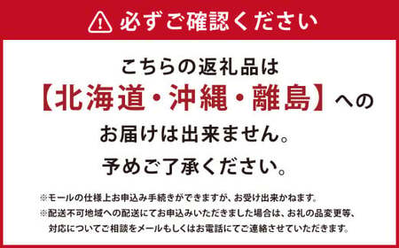 【岡山県産】 シャインマスカット 約600g 【2026年9月上旬〜11月下旬発送予定】 ／ ぶどう ブドウ 葡萄 マスカット 種なし 種無し フルーツ 果物 くだもの 果実
