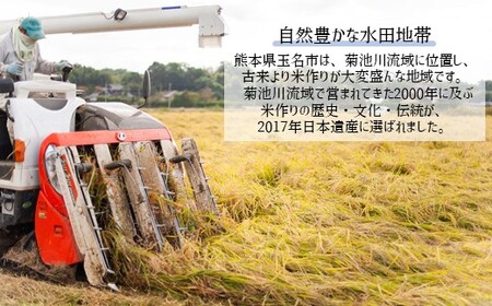 かめまる農園の「ひのひかり」10kg（2ヶ月毎×3回） | 米 こめ お米 おこめ 白米 精米 定期便 熊本県産 熊本県 玉名市