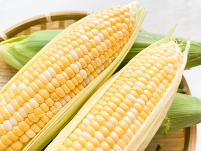 2026年夏分のご予約受付中！ナツビ農園『どきどきコーン』10本セット（約4.5kg）信濃町名産とうもろこし／白と黄色のバイカラー品種 令和8年7月下旬～8月下旬に随時出荷予定【長野県信濃町ふるさと納税】