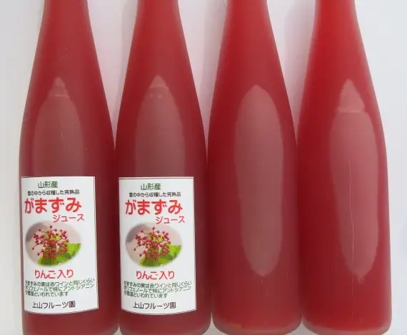 【２０２７年２月～発送】がまずみジュース（りんご入り）５００ｍｌ×４本　0075-2617