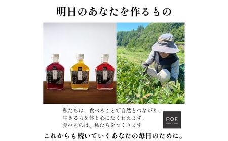ちになるシロップ＜大和当帰×棗＞800ml 1本／ ふるさと納税 棗 シロップ 瓶 ガラス瓶 国産 食材 炭酸 大和当帰葉 有機 お湯割り 甜菜糖 ハチミツ はちみつ 送料無料 ち 奈良県 宇陀市 POWER OF FOOD