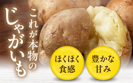 【2027年1月上旬以降順次発送】食べ比べセット 10kg じゃがいも [AJAK033]