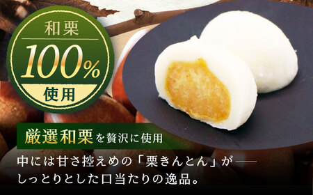 栗きんとん大福8個入り / 恵那市 / 銀の森 [AUBG052]