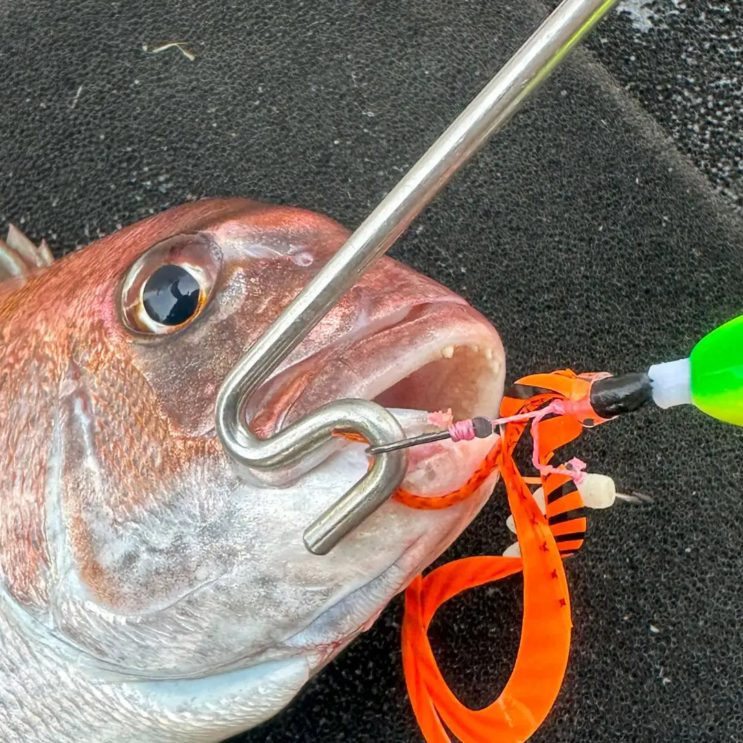 [ベルモント]マルチフックリリーサー 釣り フィッシング リリース 針外し 魚 さびない 防錆 防サビ【010S759】