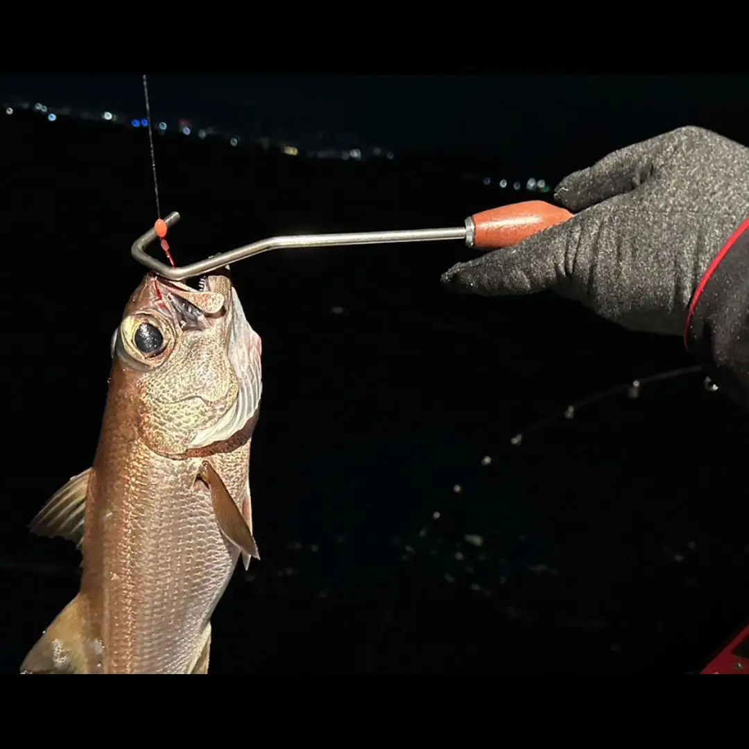 [ベルモント]マルチフックリリーサーミニ 釣り フィッシング リリース 針外し 魚 さびない 防錆 防サビ【010S760】