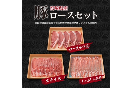 宮崎県産 豚肉 豚ロース バラエティー セット 合計1.5kg ポーク 国産 食品 万能食材 とんかつ スライス しゃぶしゃぶ トンカツ おかず お弁当 おつまみ 焼肉 炒め物 おすすめ ご褒美 お祝い 記念日 パーティー お取り寄せ グルメ 詰め合わせ 日南市 送料無料_BB119-23