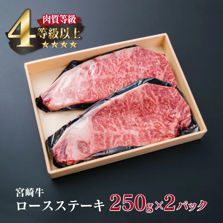 宮崎牛 ロース ステーキ 計500g 牛肉 ビーフ 黒毛和牛 国産 ブランド牛 食品 人気 おすすめ 真空パック 小分け 個包装 おかず 焼肉 BBQ 鉄板焼き 高級 贅沢 ご褒美 ディナー お祝い 記念日 おもてなし お取り寄せ グルメ おすそ分け 宮崎県 日南市 送料無料_EB2-191