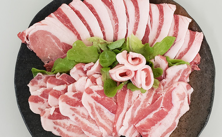 【計600g】あぐー豚「パイとん」 焼き肉用（バラ＆ロース） あぐー豚 豚肉