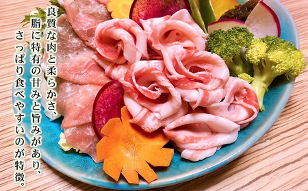 【定期3回】あぐー豚「パイとん」しゃぶしゃぶ用1kg（500g×2）&ウィンナー6本 豚肉