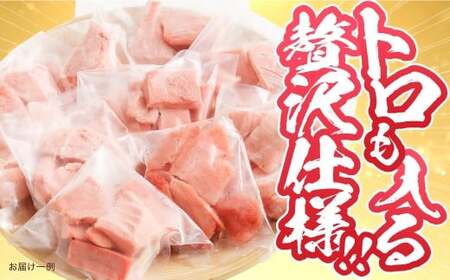  訳あり みやび鮪 切り落とし 端っこちゃん 計約500g（約100g×5） 5～6人前 ／ マグロ 鮪 トロ 本鮪 本マグロ 本まぐろ 冷凍まぐろ 冷凍鮪 まぐろ 赤身 トロ 鮪赤身 鮪トロ 国産鮪 国産まぐろ 切落し きりおとし 魚 海鮮 刺身 刺し身 冷凍 長崎 長崎県 長崎市