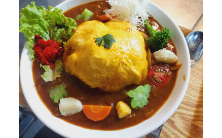 太陽のカレーキッチンカー＆ガラパゴスカフェ共通 商品券5,000円分 / カレー 本格カレー 商品券 / 白川町 / ガラパゴスカフェ[AWBN003]