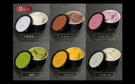 アルトラーチェ カップジェラート 6種セットB （小林牧場ミルク ・ チョコレート ・ ストロベリー ・ 抹茶 ・ マンゴー ・ レアチーズ） 6個 ジェラート アイス アイスクリーム デザート スイーツ セット 詰め合わせ 詰合せ 北海道 北広島市 冷凍