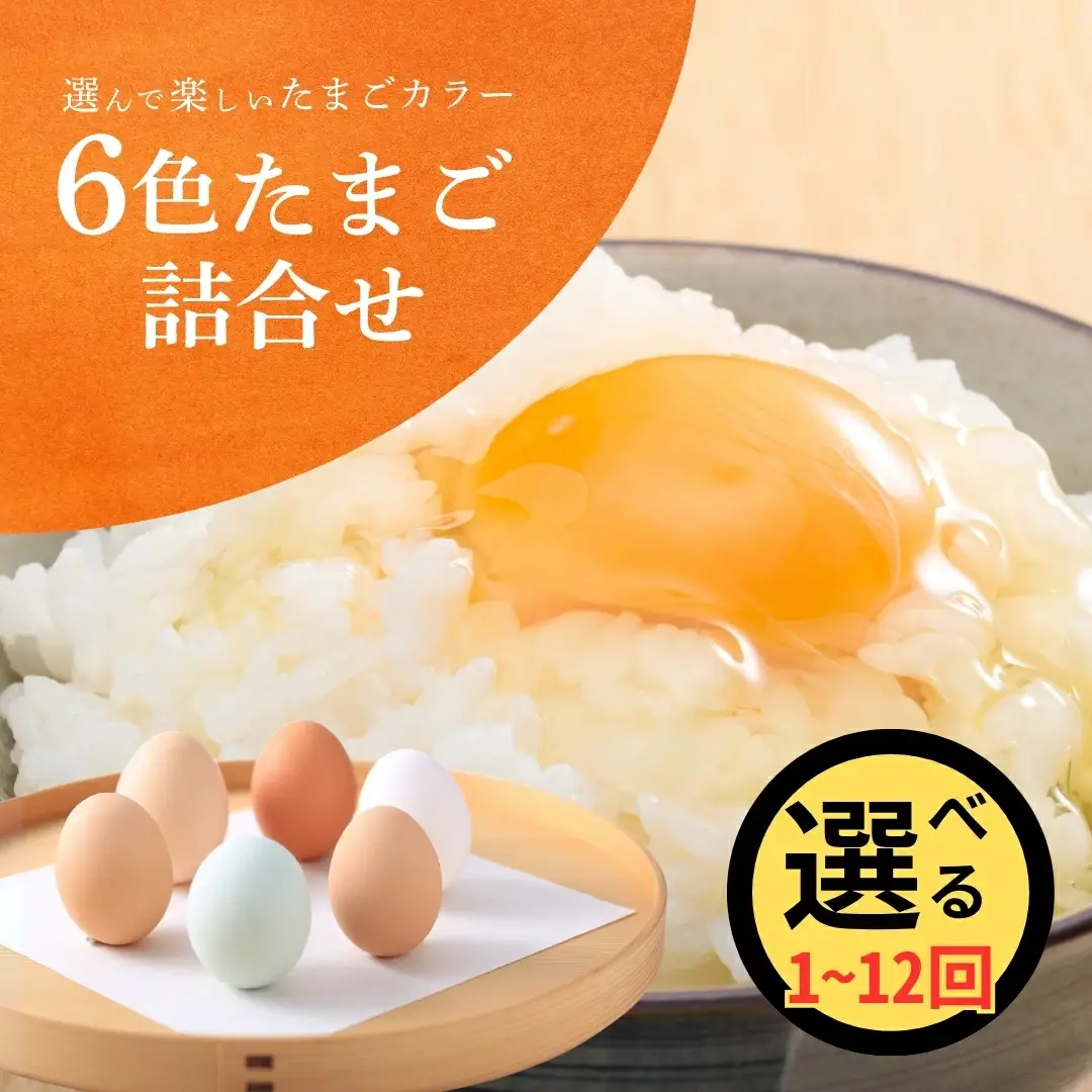 卵 産みたて 6色たまご詰合せ 30個 | 新潟県 たまご