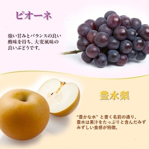 2026年 早期受付 岡山県産 岡山の梨(約300g×2玉)・ピオーネ(約500g×1房) 詰合せ 梨 ピオーネ ぶどう ブドウ 葡萄 果物 フルーツ