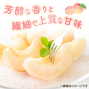 2026年 早期受付 岡山県産 白桃 恵白 (約2.2kg) 5～7玉 桃 もも 果物 フルーツ