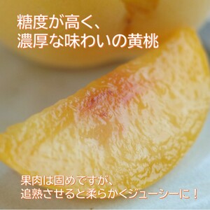 2026年 早期受付 岡山県産 黄桃 黄ららのきわみ (約2.0kg) 6～8玉 桃 もも 果物 フルーツ