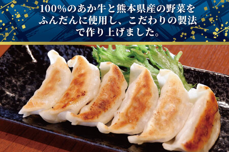 B301-15 熊本和牛あか牛ぎょうざ 60個（あか牛ぎょうざ20個入り×3箱）