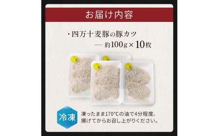 四万十麦豚 豚カツ （約100g×10枚）麦豚 トンカツ 冷凍 背ロース Ahc-18