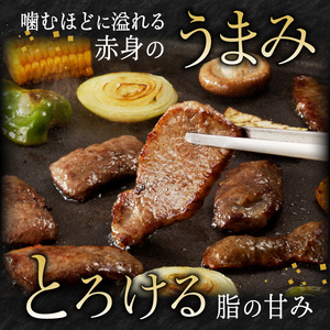 宮崎牛焼肉900g(450g×2ﾊﾟｯｸ) N061-YC121