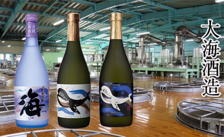 B2-25176／大海酒造 　720ml　3本セット