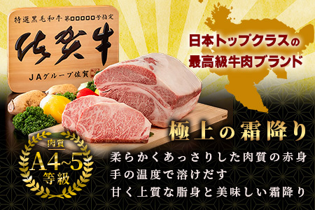 佐賀牛 ロースステーキ (約200g) 贈答 プレゼント B-853