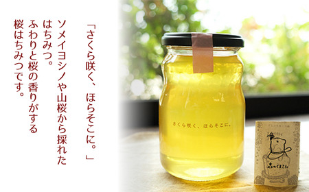 はちみつセット あかしあ＆桜 160g×2本 はちみつ