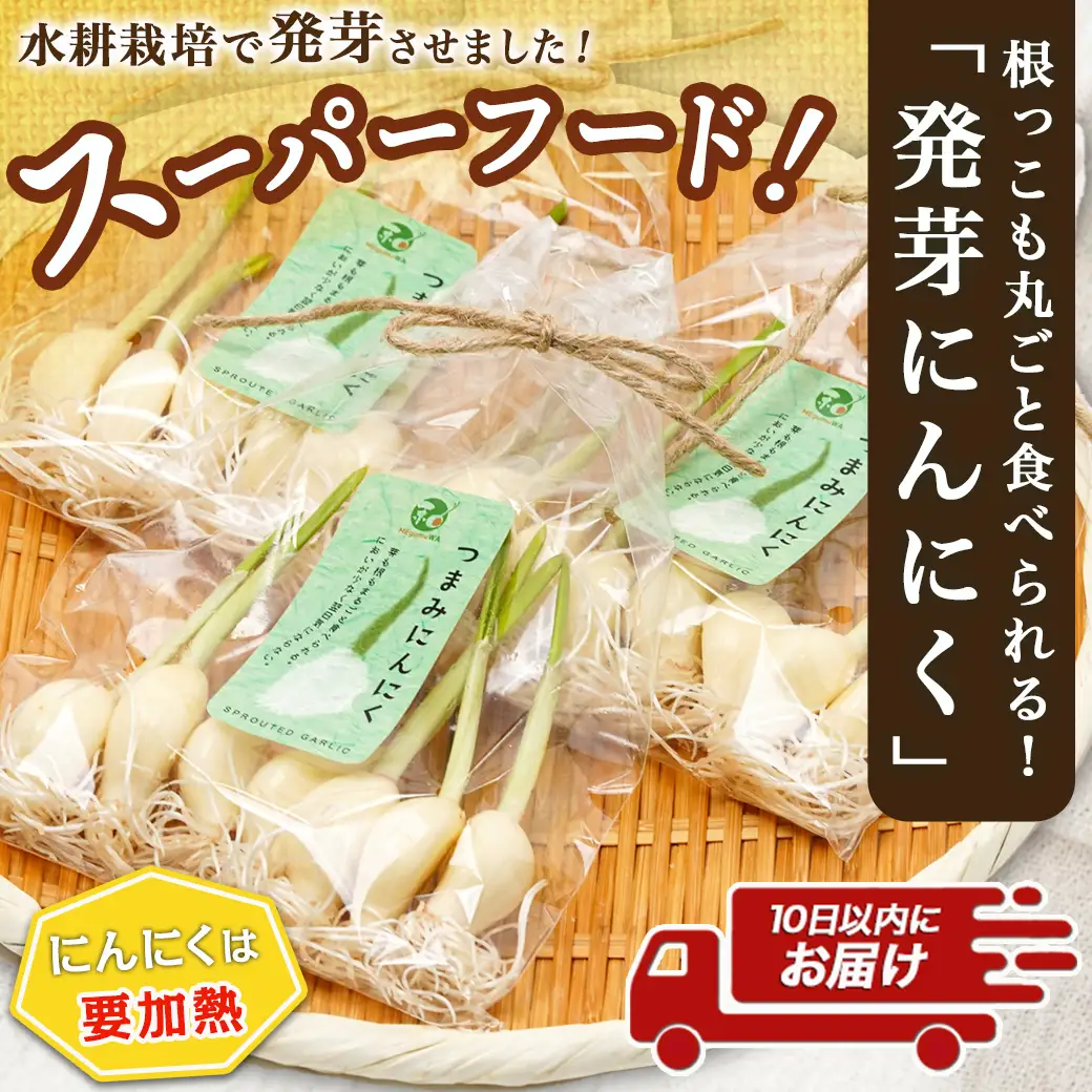スーパーフード!つまみにんにく 7本入り×3袋※冷蔵≪みやこんじょ特急便≫〔LE-C901-Q〕_(都城市) 水耕栽培 発芽（スプラウト） GABA 体づくり