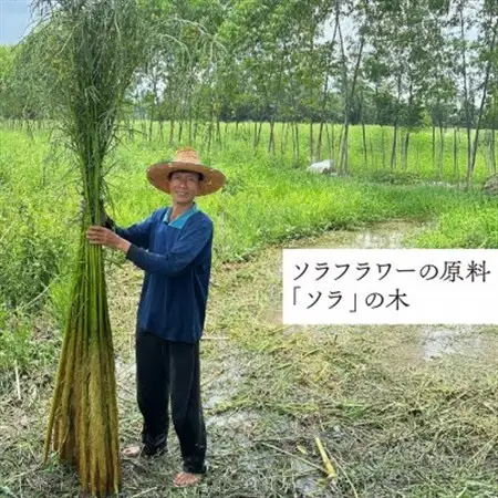 ソラフラワー手作り体験チケット1枚【1630414】