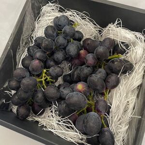 訳ありぶどう ナガノパープル 約1kg 【 ぶどう 】