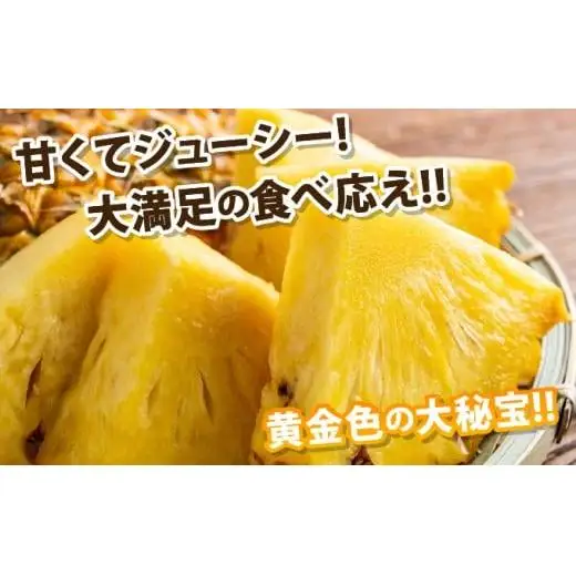 石垣島産完熟ゴールドバレル 1玉 約1.7kg