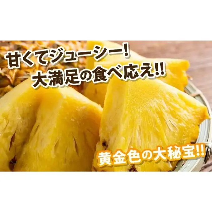 石垣島産 完熟 ゴールドバレル 2玉 約2.5kg