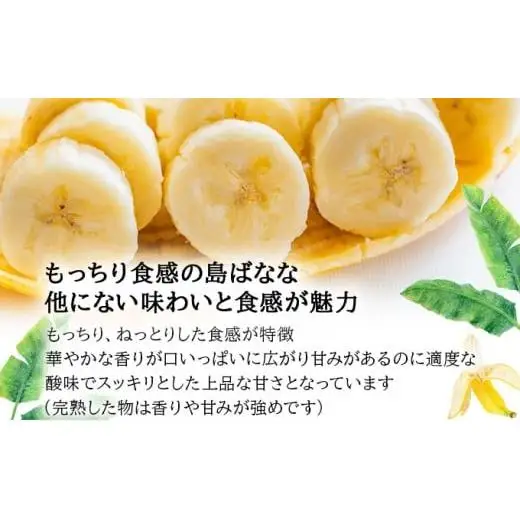 『プレミアム島ばなな』をお届け！！800g(約8本)