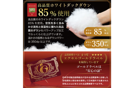 【春夏用】洗える！ 羽毛 肌掛け布団 シングル ホワイトダックダウン 85% 0.3kg (無地 グレー) [川村羽毛 山梨県 韮崎市 20745100]