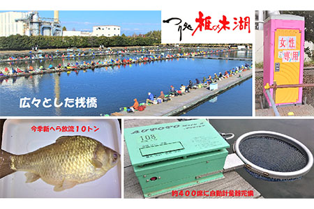 ～つり処椎の木湖～ 1日ご招待券 1枚 ヘラブナ 釣り堀 【へら鮒釣り】